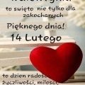 1 (Copy)