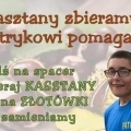 1 (Copy)