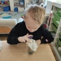 IMG-20250402-WA0005