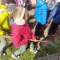 IMG-20250407-WA0005
