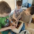 IMG-20250407-WA0016