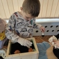 IMG-20250407-WA0018
