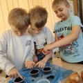 IMG-20250407-WA0019