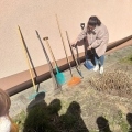 IMG-20250407-WA0043