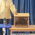IMG-20250522-WA0029