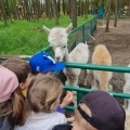 IMG-20250522-WA0045