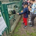IMG-20250522-WA0047