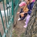 IMG-20250522-WA0048