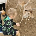 IMG-20250524-WA0047