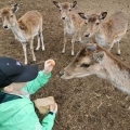 IMG-20250524-WA0049