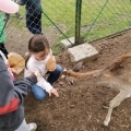 IMG-20250524-WA0052