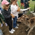 IMG-20250524-WA0053