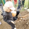 IMG-20250524-WA0054