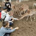 IMG-20250524-WA0058