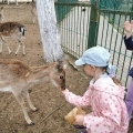 IMG-20250524-WA0064
