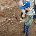IMG-20250524-WA0065