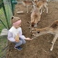 IMG-20250524-WA0066