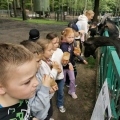 IMG-20250524-WA0074