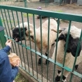 IMG-20250524-WA0080