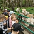IMG-20250524-WA0081