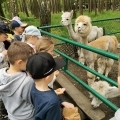 IMG-20250524-WA0082