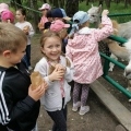 IMG-20250524-WA0083