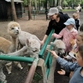 IMG-20250524-WA0085