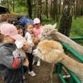 IMG-20250524-WA0086