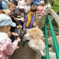 IMG-20250524-WA0087