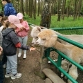 IMG-20250524-WA0088