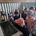 IMG-20250524-WA0093