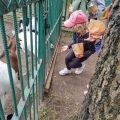 IMG-20250524-WA0170
