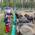 IMG-20250524-WA0175