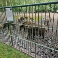 IMG-20250524-WA0182
