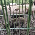 IMG-20250524-WA0207