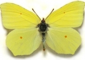 1 (5) (Copy)
