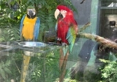 1000030518