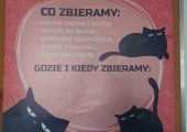 3 (Copy)