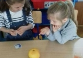 31311321_1826960377425461_2359509415851196416_n