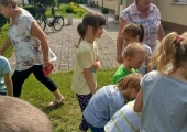 33234754_1856985791089586_8773372683866865664_n (Copy) (Copy)