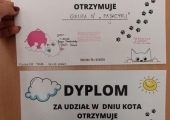 5 (Copy)