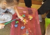 51767643_254862615439617_5605841325338394624_n