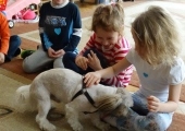 dogoterapia gr. IV 07