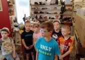 gsnv