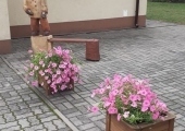 IMG-20220222-WA0005