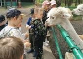 IMG-20250524-WA0042