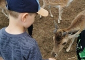 IMG-20250524-WA0048