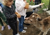 IMG-20250524-WA0053
