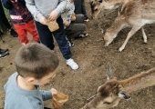 IMG-20250524-WA0057