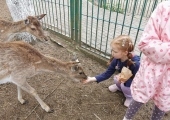 IMG-20250524-WA0063